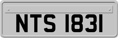 NTS1831