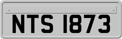 NTS1873