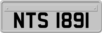 NTS1891