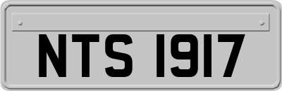 NTS1917