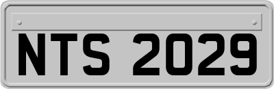 NTS2029