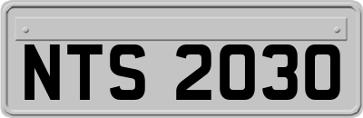 NTS2030