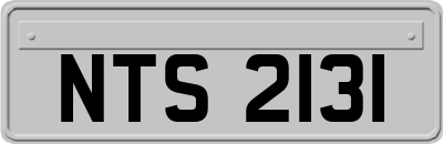 NTS2131