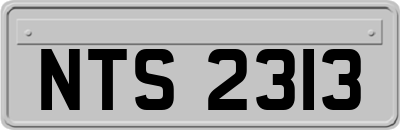 NTS2313