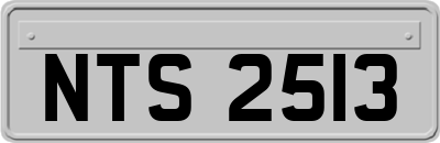 NTS2513