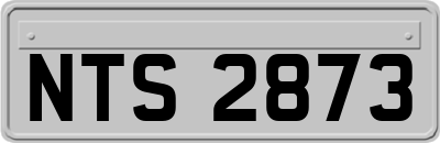 NTS2873
