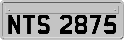 NTS2875