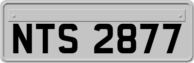 NTS2877