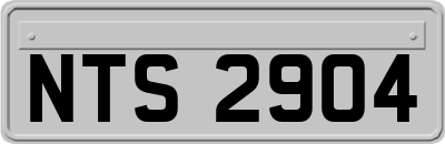 NTS2904
