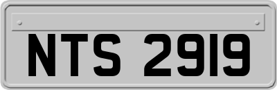 NTS2919
