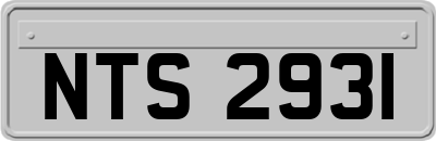 NTS2931