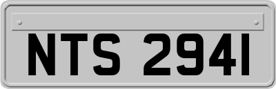 NTS2941