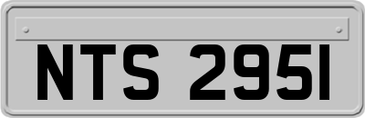 NTS2951