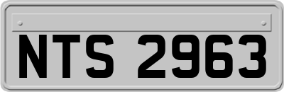 NTS2963