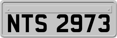 NTS2973