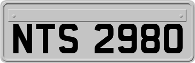 NTS2980