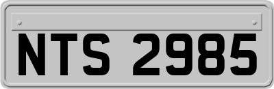 NTS2985