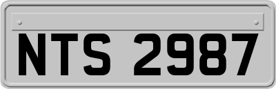 NTS2987