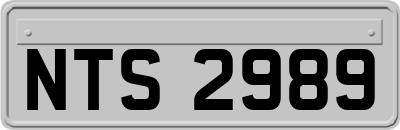 NTS2989