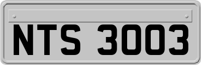 NTS3003