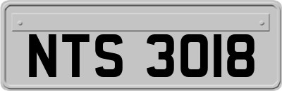 NTS3018