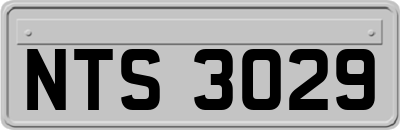 NTS3029
