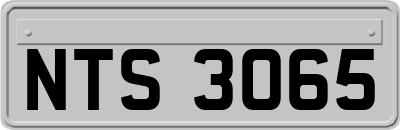 NTS3065