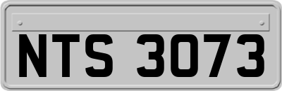 NTS3073
