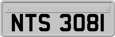 NTS3081