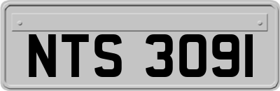 NTS3091