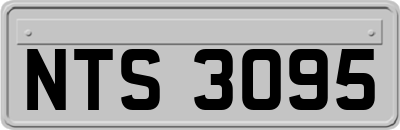 NTS3095