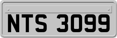 NTS3099