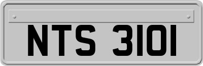 NTS3101