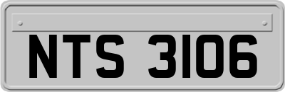 NTS3106