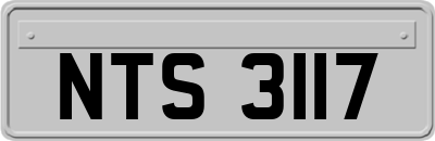 NTS3117