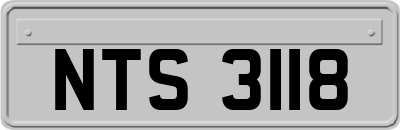 NTS3118