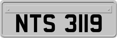 NTS3119