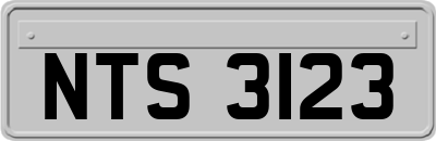 NTS3123