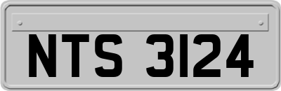NTS3124
