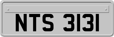 NTS3131