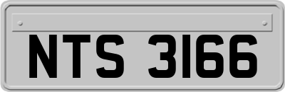 NTS3166