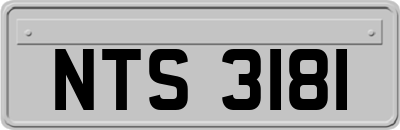 NTS3181