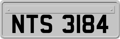 NTS3184