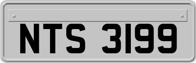 NTS3199