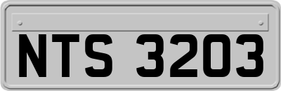 NTS3203
