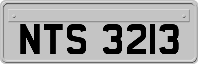 NTS3213