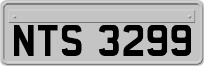 NTS3299