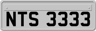 NTS3333