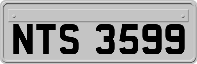 NTS3599