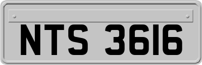 NTS3616
